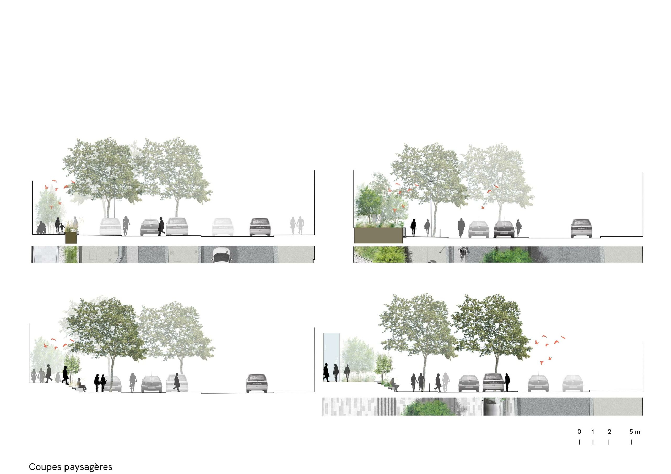 shift landscape cross-section, exterior building