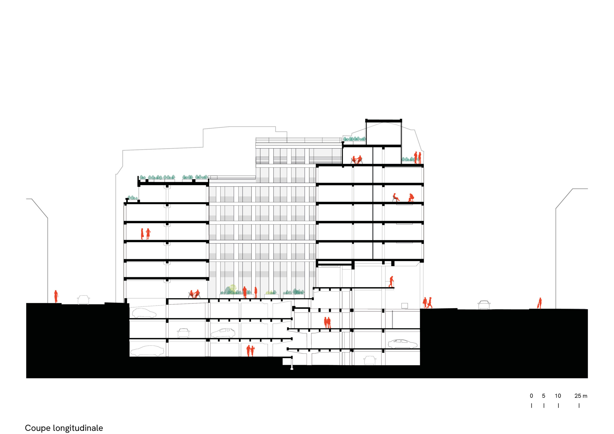 Cortis, Paris, cross-section