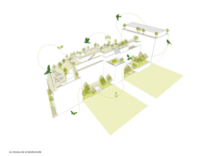 185 avenue Charles de Gaulle, Neuilly, biodiversity diagramme