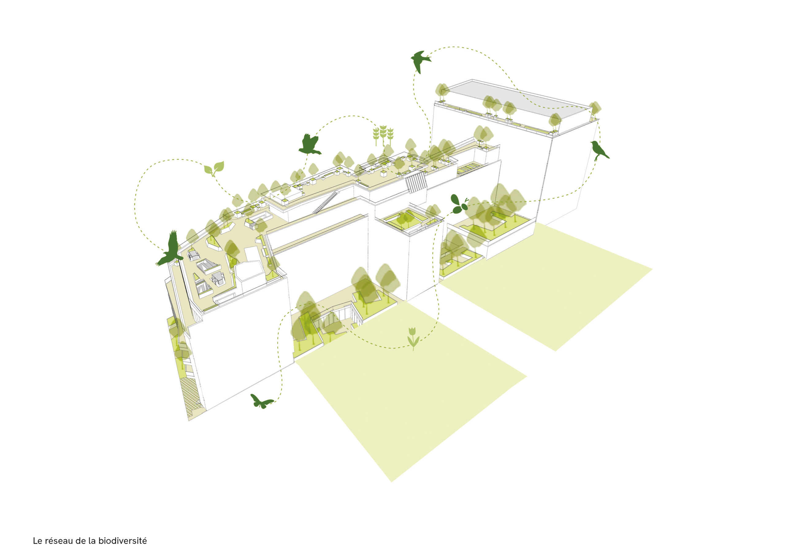 185 avenue Charles de Gaulle, Neuilly, diagramme biodiversité