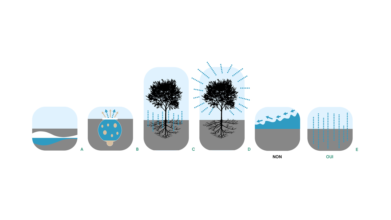 gestion des eaux pluviales, pictogrammes