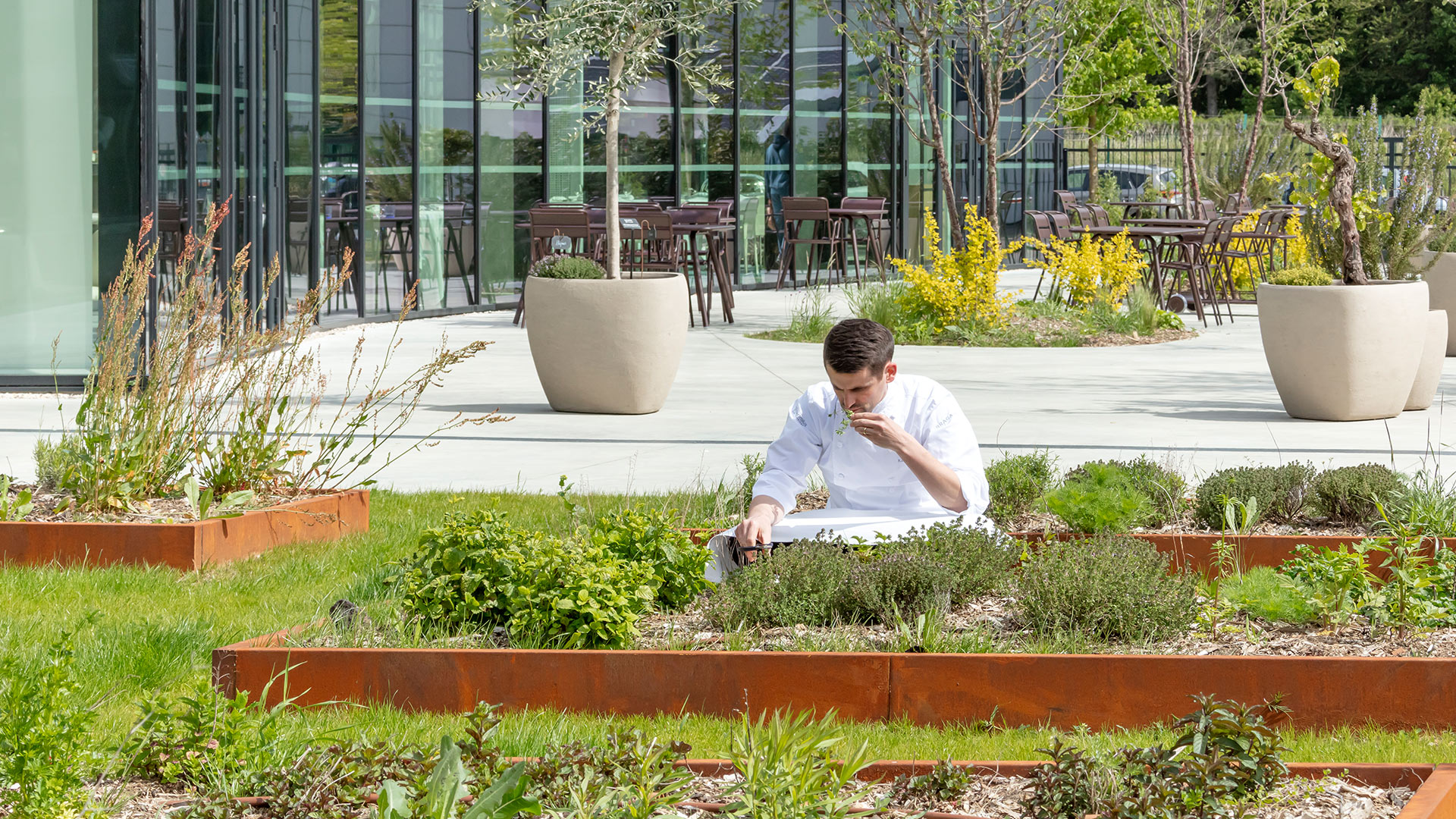 Ecole Ducasse – Paris Campus, Meudon, parvis