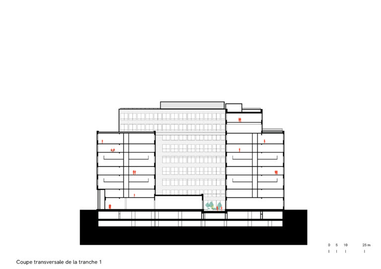 Palaiseau, campus ecla, coupe