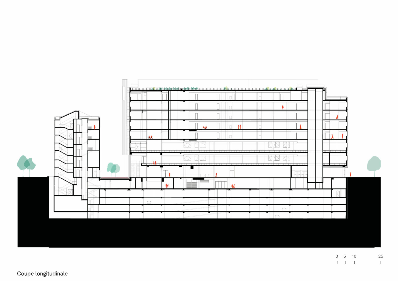 Eole Evergreen cross-section