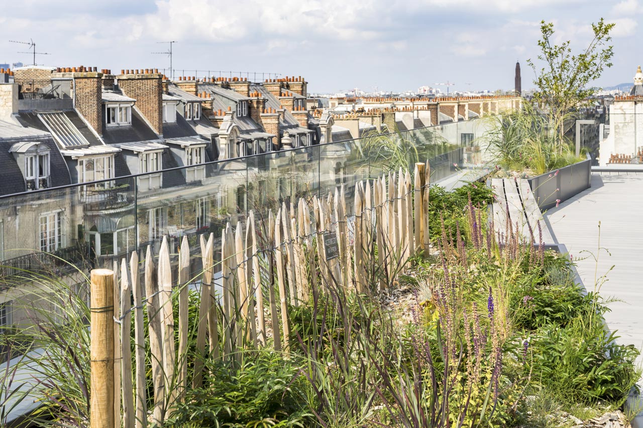 Cortis, Paris, toiture